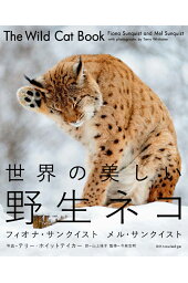 楽天ブックス 家のネコと野生のネコ 澤井聖一 本 楽天ブックス 家のネコと野生のネコ 澤井聖一 本